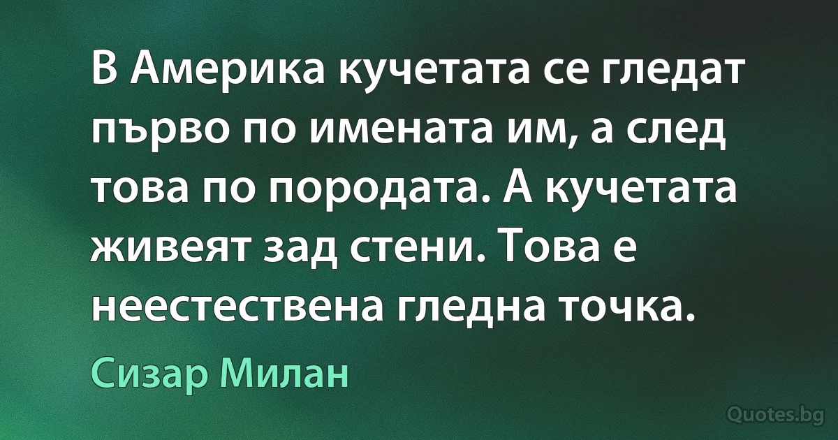 В Америка кучетата се гледат първо по имената им, а след това по породата. А кучетата живеят зад стени. Това е неестествена гледна точка. (Сизар Милан)