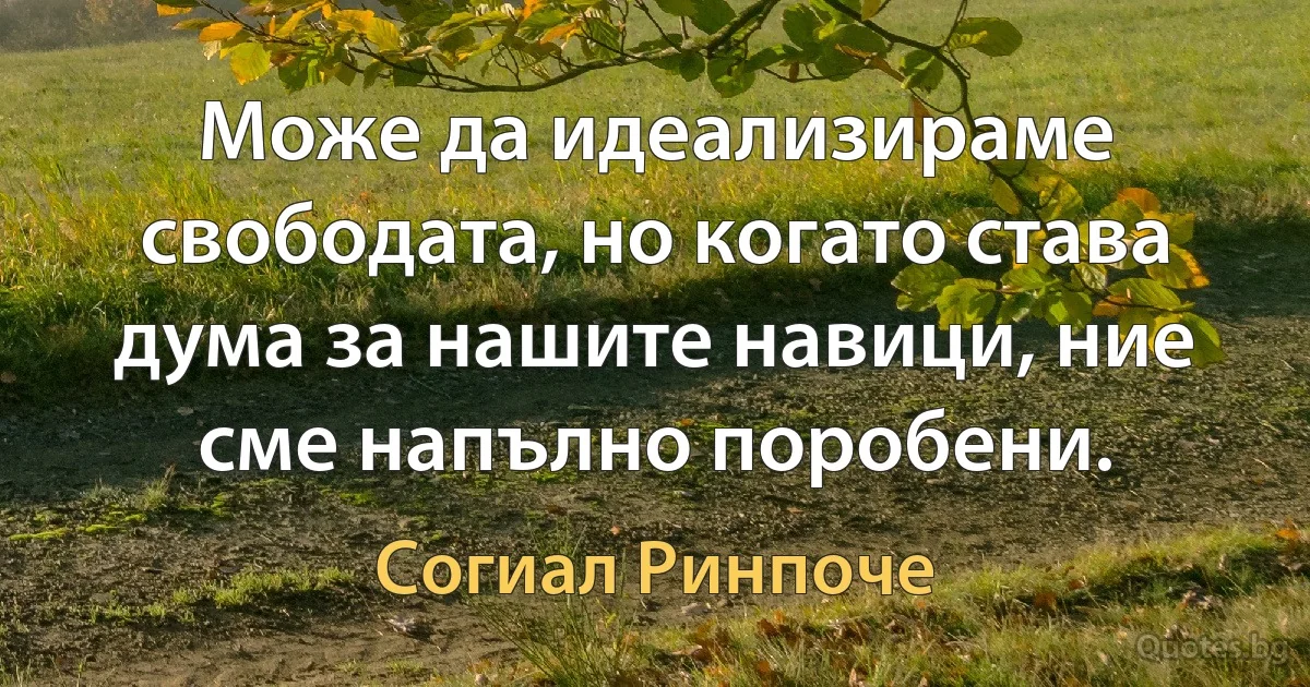 Може да идеализираме свободата, но когато става дума за нашите навици, ние сме напълно поробени. (Согиал Ринпоче)