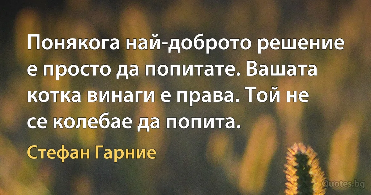 Понякога най-доброто решение е просто да попитате. Вашата котка винаги е права. Той не се колебае да попита. (Стефан Гарние)