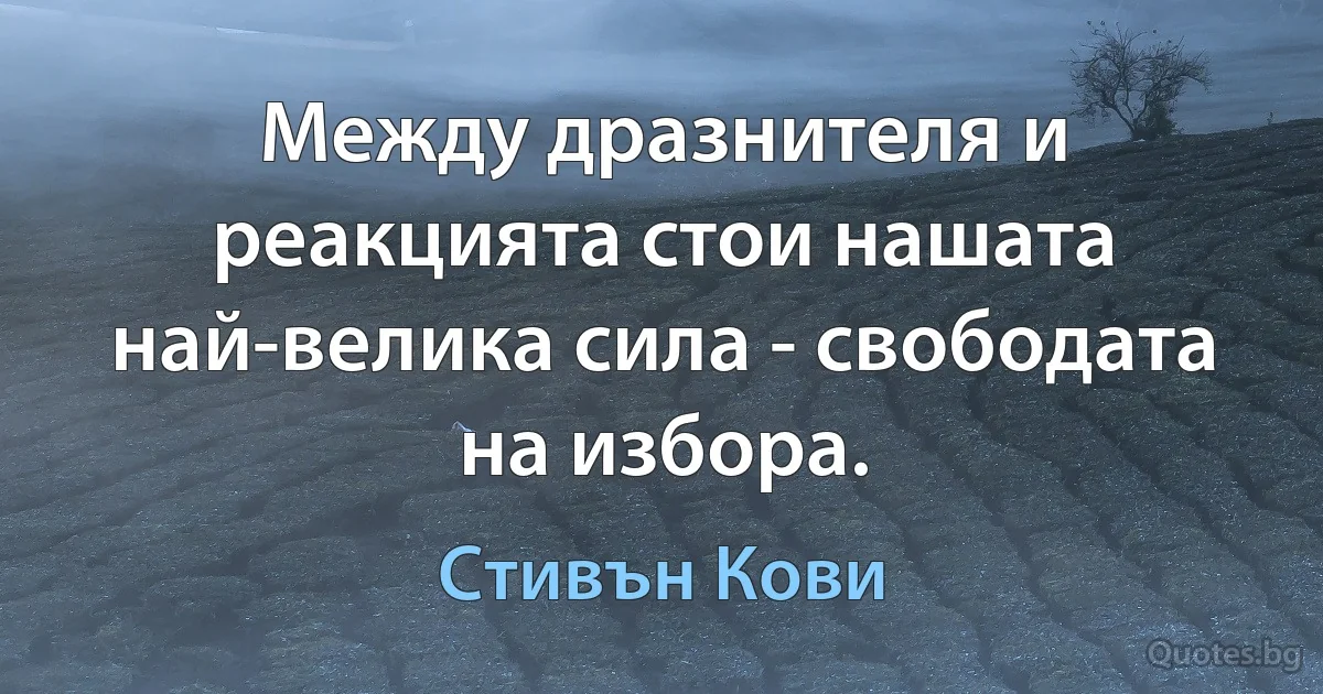 Между дразнителя и реакцията стои нашата най-велика сила - свободата на избора. (Стивън Кови)