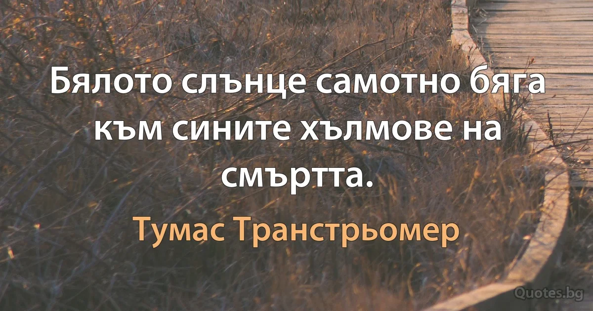 Бялото слънце самотно бяга към сините хълмове на смъртта. (Тумас Транстрьомер)