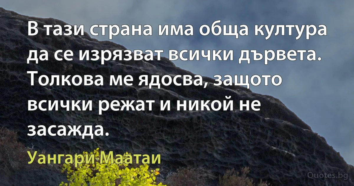 В тази страна има обща култура да се изрязват всички дървета. Толкова ме ядосва, защото всички режат и никой не засажда. (Уангари Маатаи)