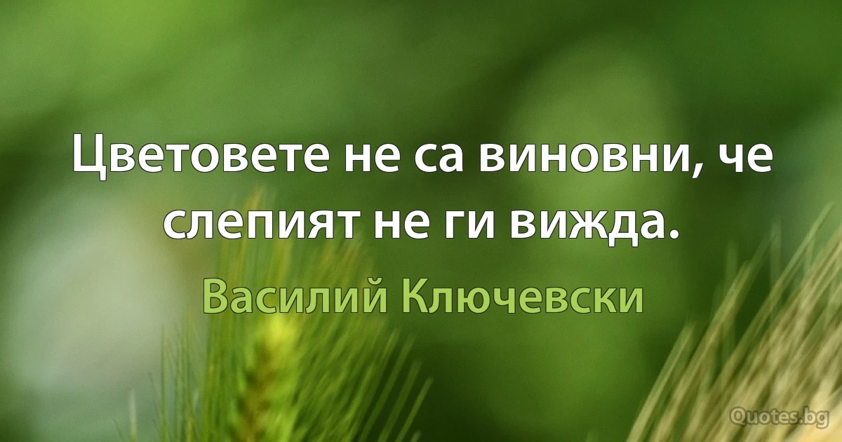 Цветовете не са виновни, че слепият не ги вижда. (Василий Ключевски)