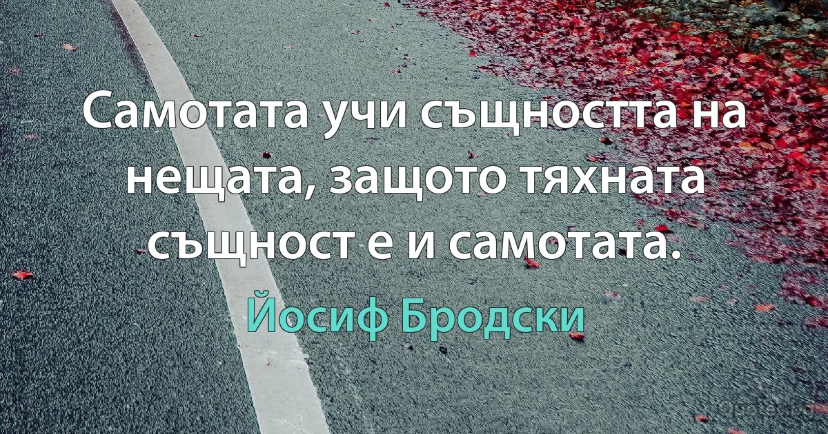 Самотата учи същността на нещата, защото тяхната същност е и самотата. (Йосиф Бродски)