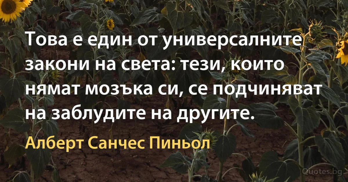 Това е един от универсалните закони на света: тези, които нямат мозъка си, се подчиняват на заблудите на другите. (Алберт Санчес Пиньол)