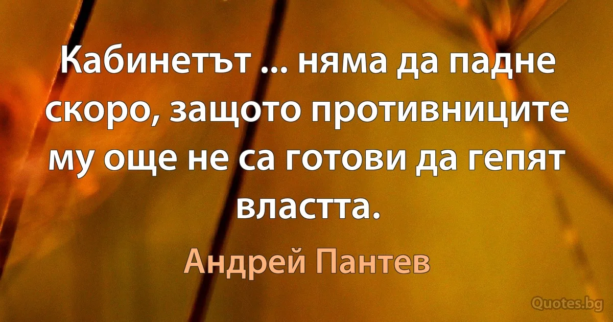 Кабинетът ... няма да падне скоро, защото противниците му още не са готови да гепят властта. (Андрей Пантев)