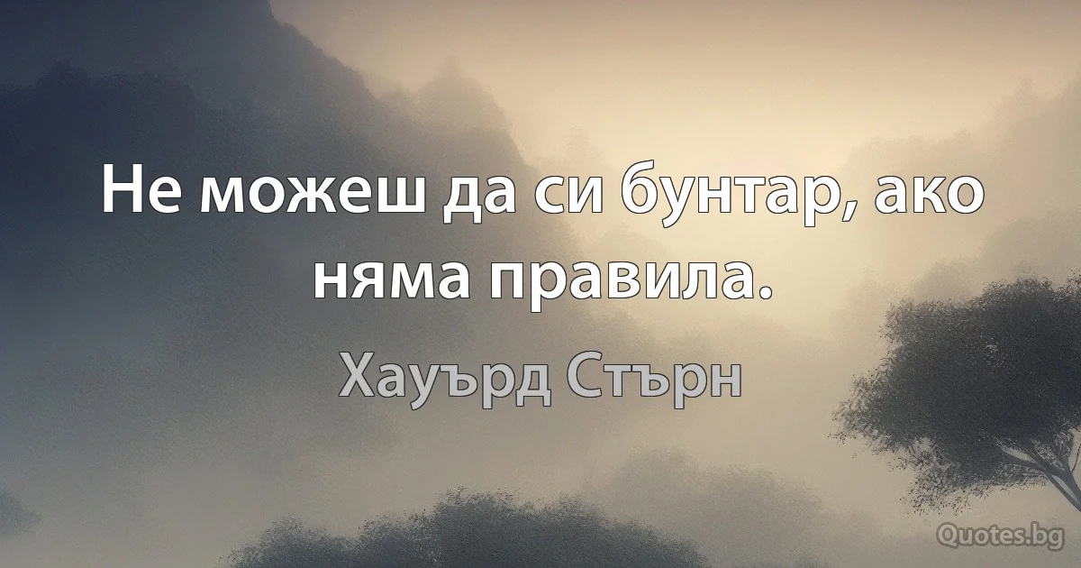 Не можеш да си бунтар, ако няма правила. (Хауърд Стърн)