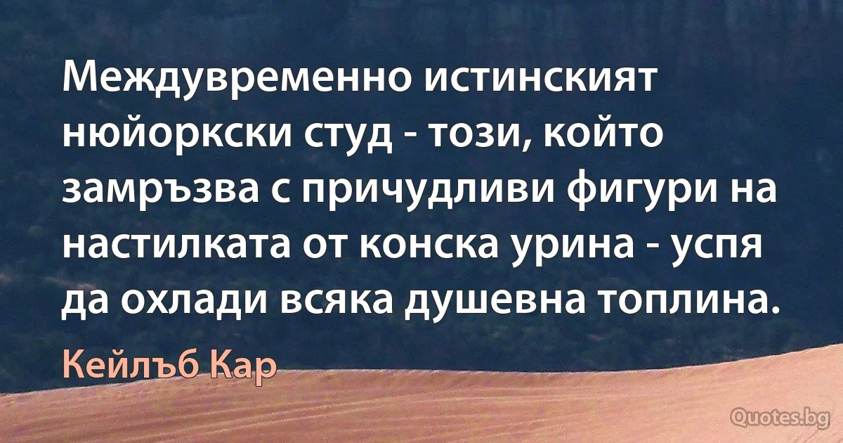 Междувременно истинският нюйоркски студ - този, който замръзва с причудливи фигури на настилката от конска урина - успя да охлади всяка душевна топлина. (Кейлъб Кар)