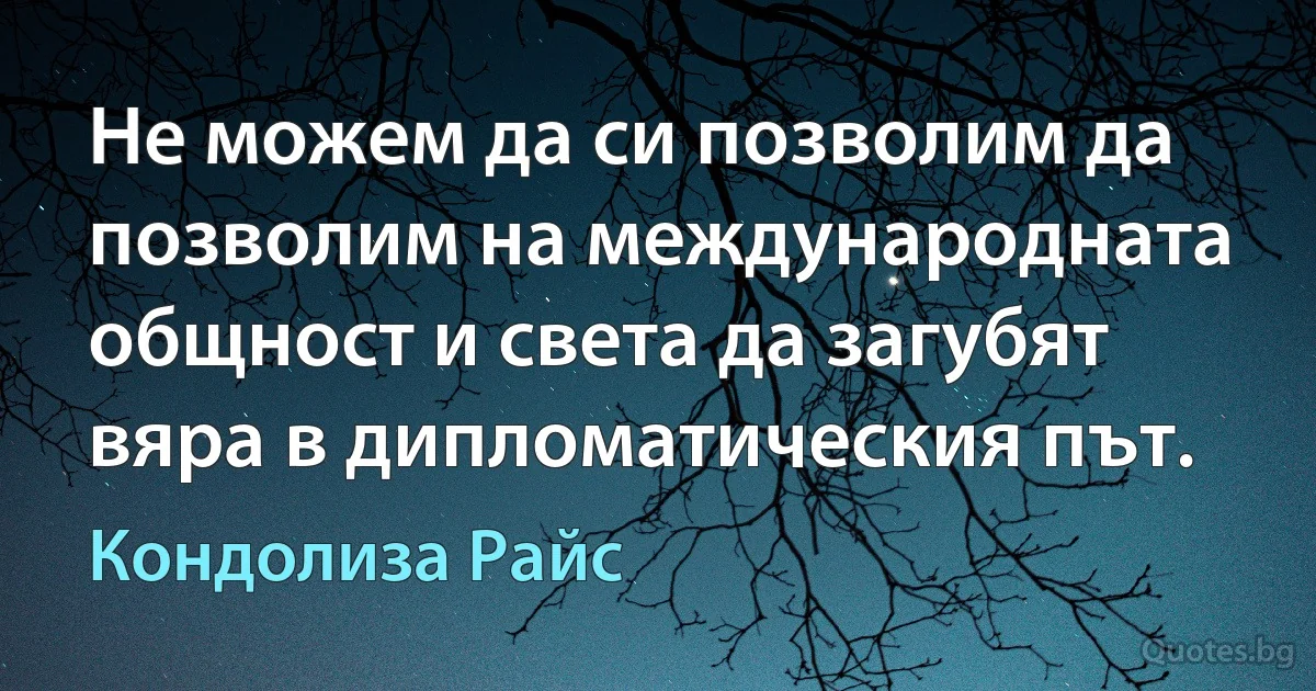 Не можем да си позволим да позволим на международната общност и света да загубят вяра в дипломатическия път. (Кондолиза Райс)