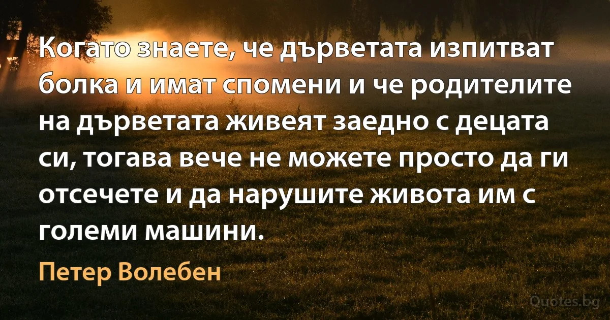 Когато знаете, че дърветата изпитват болка и имат спомени и че родителите на дърветата живеят заедно с децата си, тогава вече не можете просто да ги отсечете и да нарушите живота им с големи машини. (Петер Волебен)