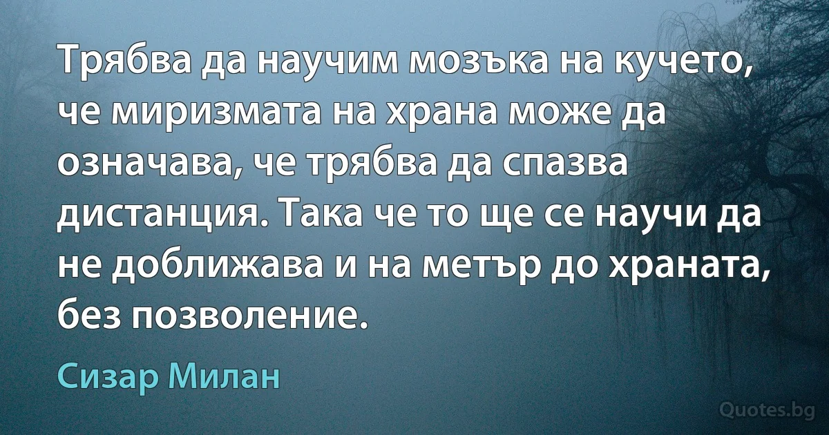 Трябва да научим мозъка на кучето, че миризмата на храна може да означава, че трябва да спазва дистанция. Така че то ще се научи да не доближава и на метър до храната, без позволение. (Сизар Милан)