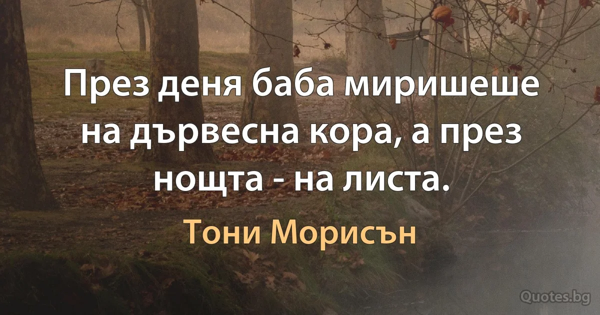 През деня баба миришеше на дървесна кора, а през нощта - на листа. (Тони Морисън)