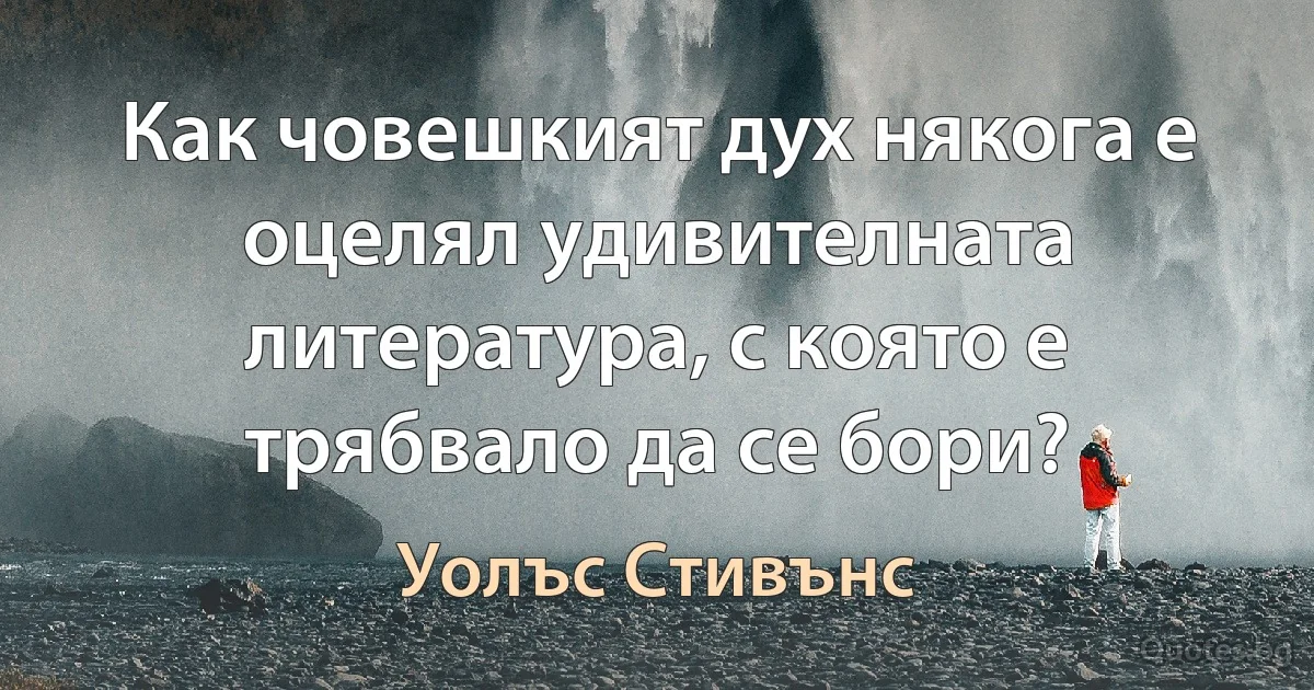 Как човешкият дух някога е оцелял удивителната литература, с която е трябвало да се бори? (Уолъс Стивънс)