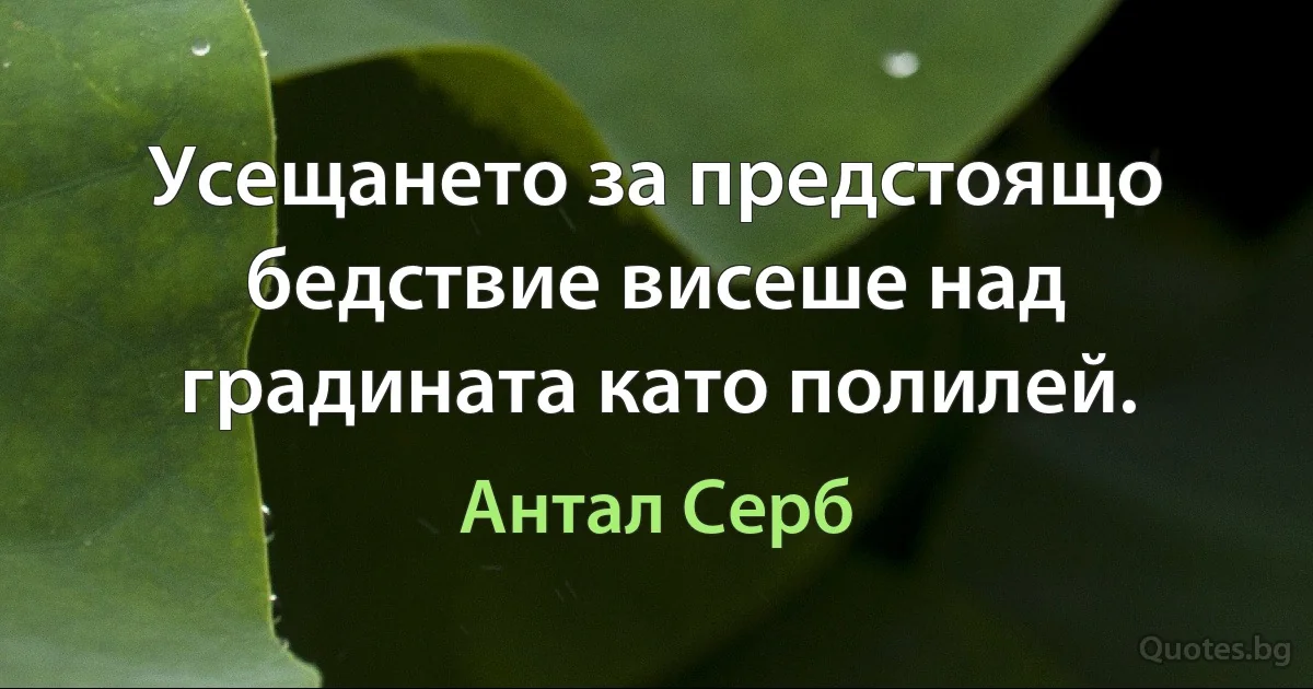 Усещането за предстоящо бедствие висеше над градината като полилей. (Антал Серб)