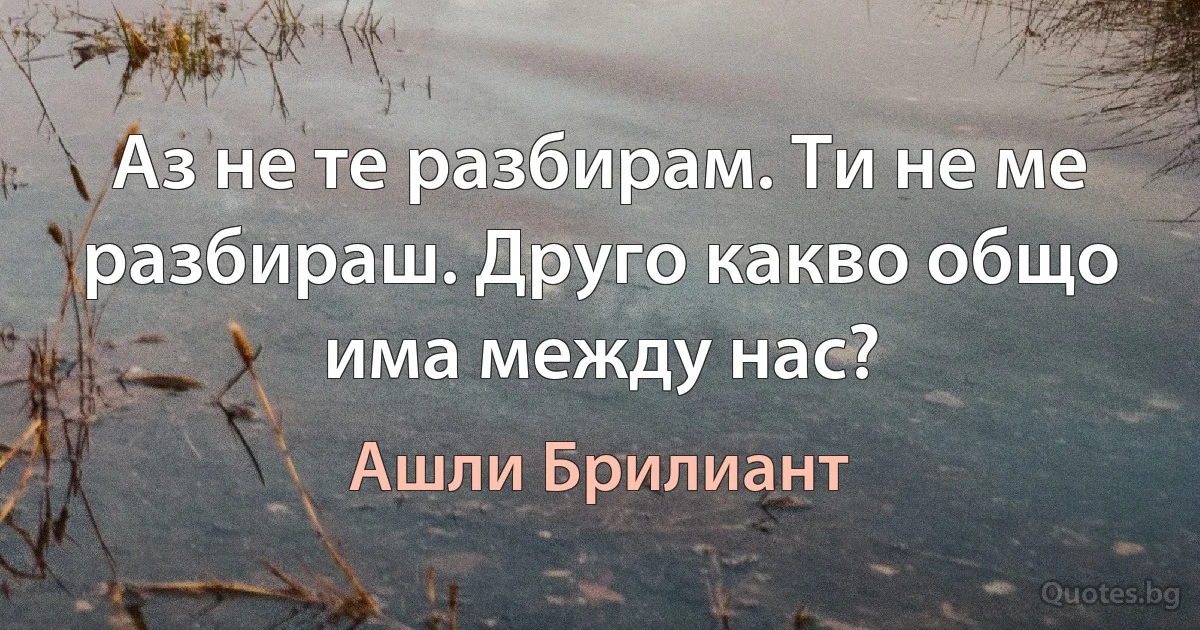 Аз не те разбирам. Ти не ме разбираш. Друго какво общо има между нас? (Ашли Брилиант)