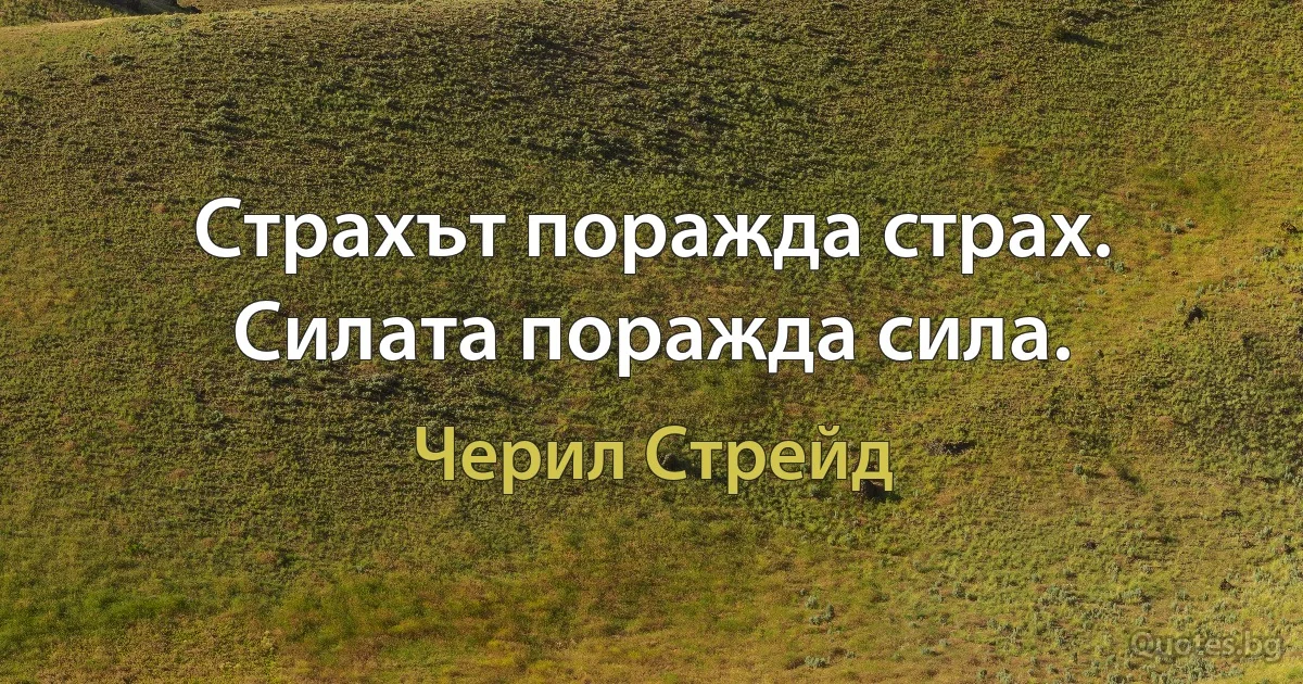 Страхът поражда страх. Силата поражда сила. (Черил Стрейд)