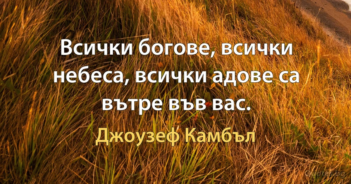 Всички богове, всички небеса, всички адове са вътре във вас. (Джоузеф Камбъл)