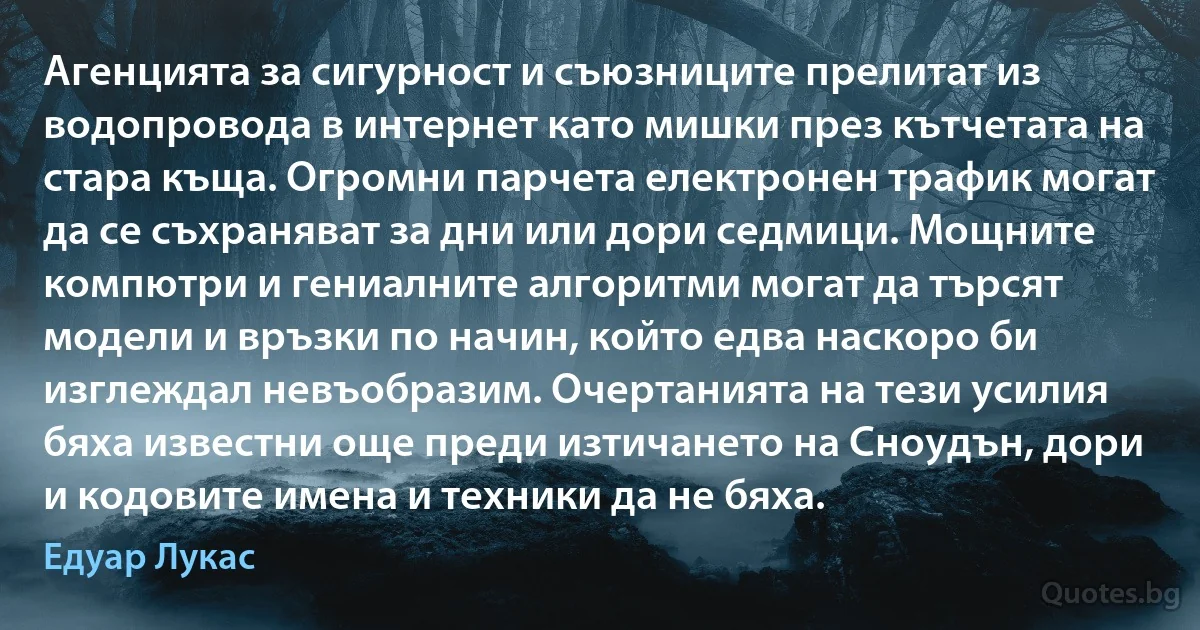 Агенцията за сигурност и съюзниците прелитат из водопровода в интернет като мишки през кътчетата на стара къща. Огромни парчета електронен трафик могат да се съхраняват за дни или дори седмици. Мощните компютри и гениалните алгоритми могат да търсят модели и връзки по начин, който едва наскоро би изглеждал невъобразим. Очертанията на тези усилия бяха известни още преди изтичането на Сноудън, дори и кодовите имена и техники да не бяха. (Едуар Лукас)