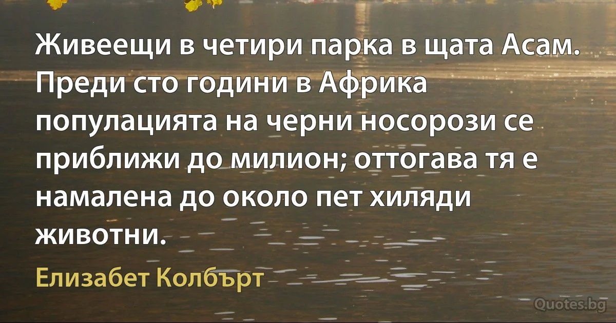 Живеещи в четири парка в щата Асам. Преди сто години в Африка популацията на черни носорози се приближи до милион; оттогава тя е намалена до около пет хиляди животни. (Елизабет Колбърт)