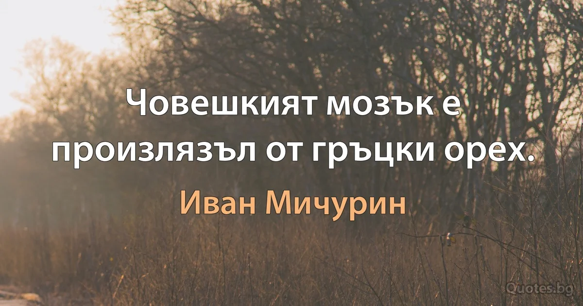 Човешкият мозък е произлязъл от гръцки орех. (Иван Мичурин)