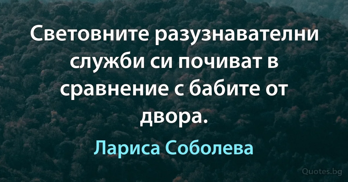 Световните разузнавателни служби си почиват в сравнение с бабите от двора. (Лариса Соболева)