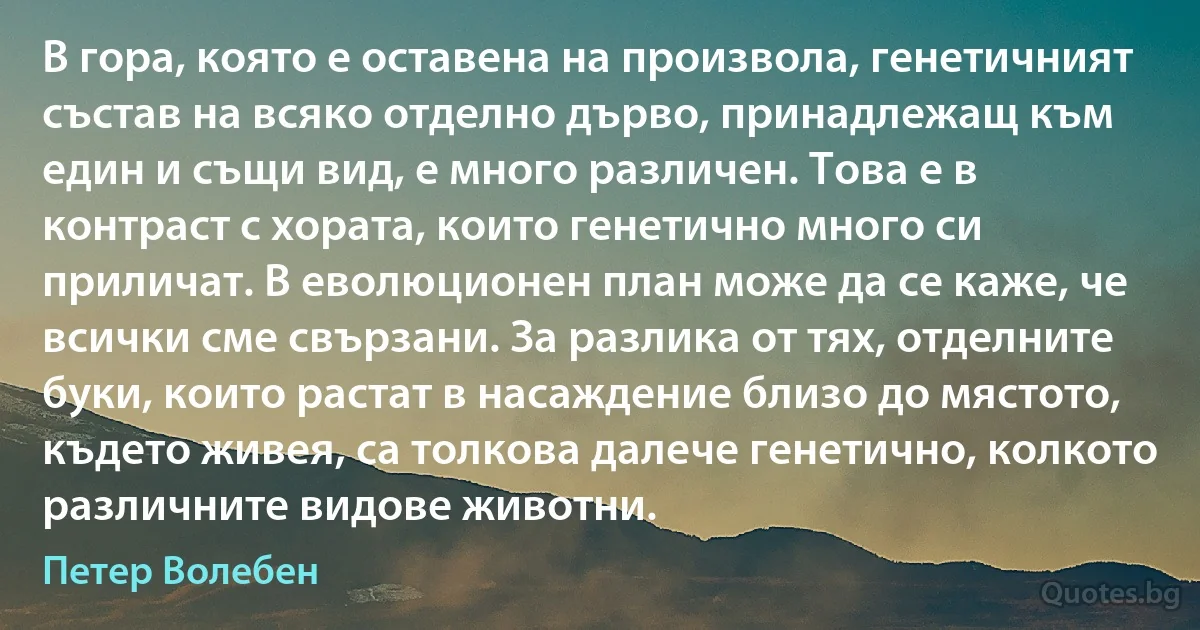 В гора, която е оставена на произвола, генетичният състав на всяко отделно дърво, принадлежащ към един и същи вид, е много различен. Това е в контраст с хората, които генетично много си приличат. В еволюционен план може да се каже, че всички сме свързани. За разлика от тях, отделните буки, които растат в насаждение близо до мястото, където живея, са толкова далече генетично, колкото различните видове животни. (Петер Волебен)