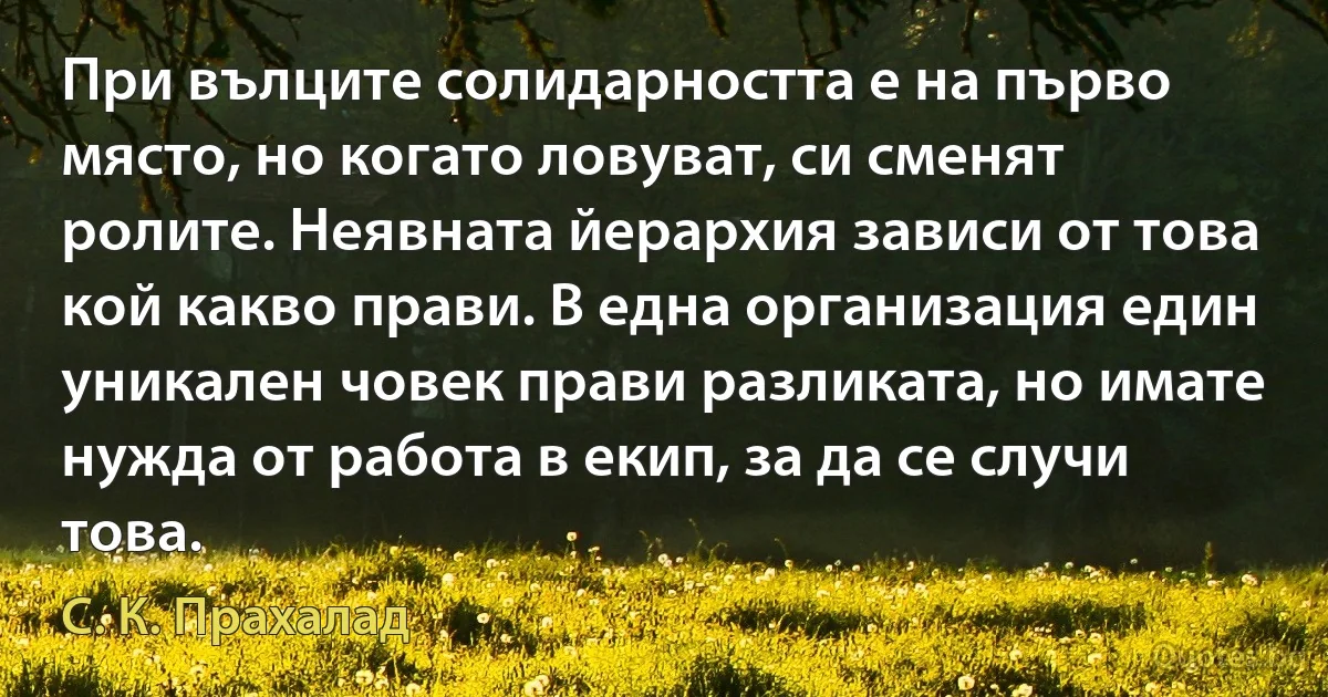 При вълците солидарността е на първо място, но когато ловуват, си сменят ролите. Неявната йерархия зависи от това кой какво прави. В една организация един уникален човек прави разликата, но имате нужда от работа в екип, за да се случи това. (С. К. Прахалад)