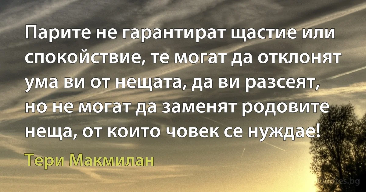 Парите не гарантират щастие или спокойствие, те могат да отклонят ума ви от нещата, да ви разсеят, но не могат да заменят родовите неща, от които човек се нуждае! (Тери Макмилан)