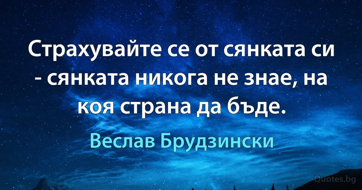 Страхувайте се от сянката си - сянката никога не знае, на коя страна да бъде. (Веслав Брудзински)