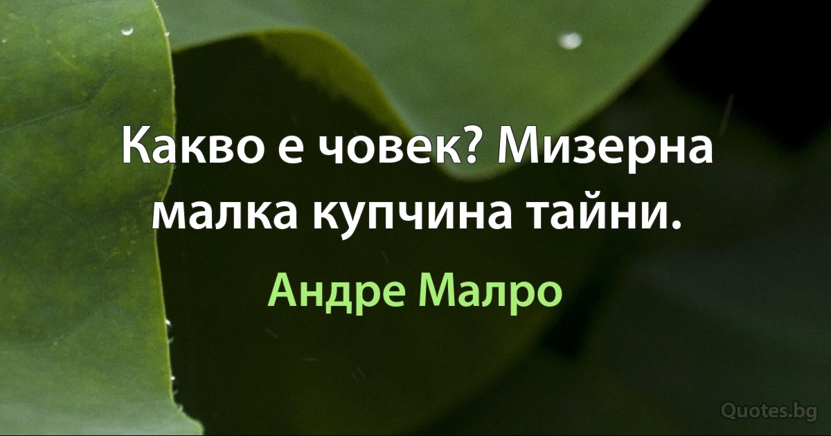 Какво е човек? Мизерна малка купчина тайни. (Андре Малро)