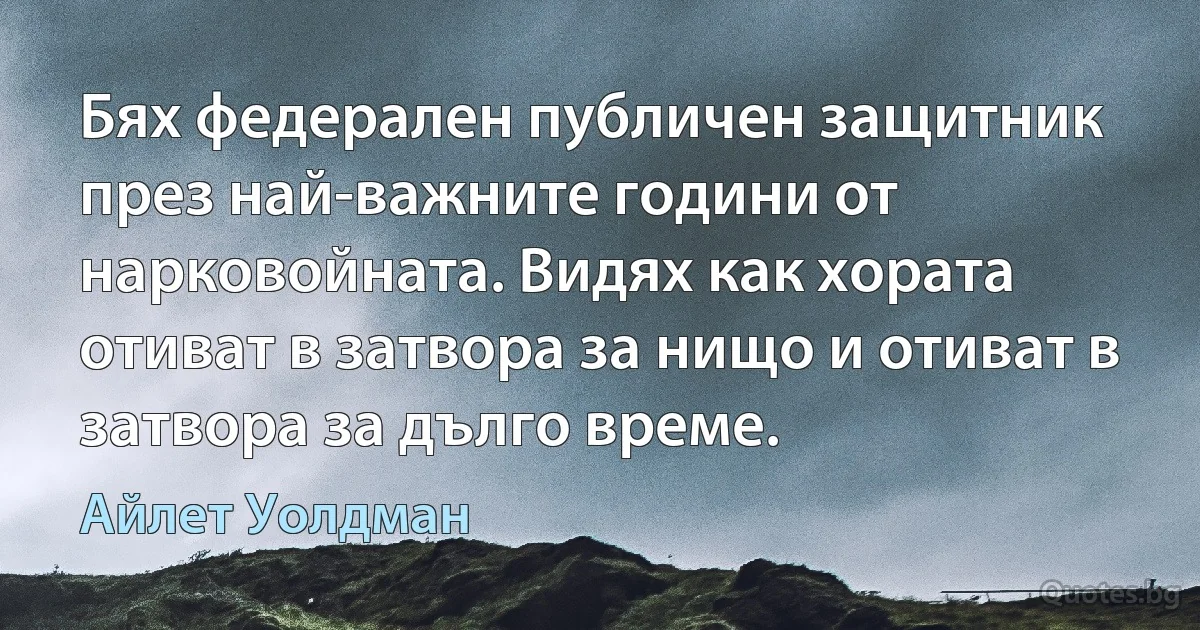 Бях федерален публичен защитник през най-важните години от нарковойната. Видях как хората отиват в затвора за нищо и отиват в затвора за дълго време. (Айлет Уолдман)