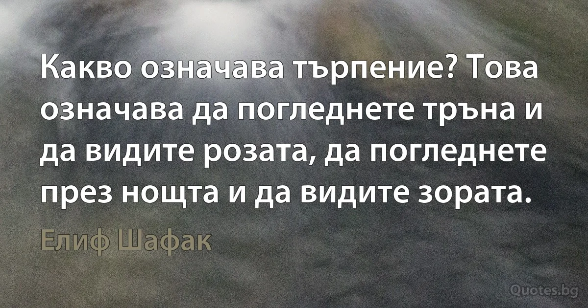 Какво означава търпение? Това означава да погледнете тръна и да видите розата, да погледнете през нощта и да видите зората. (Елиф Шафак)