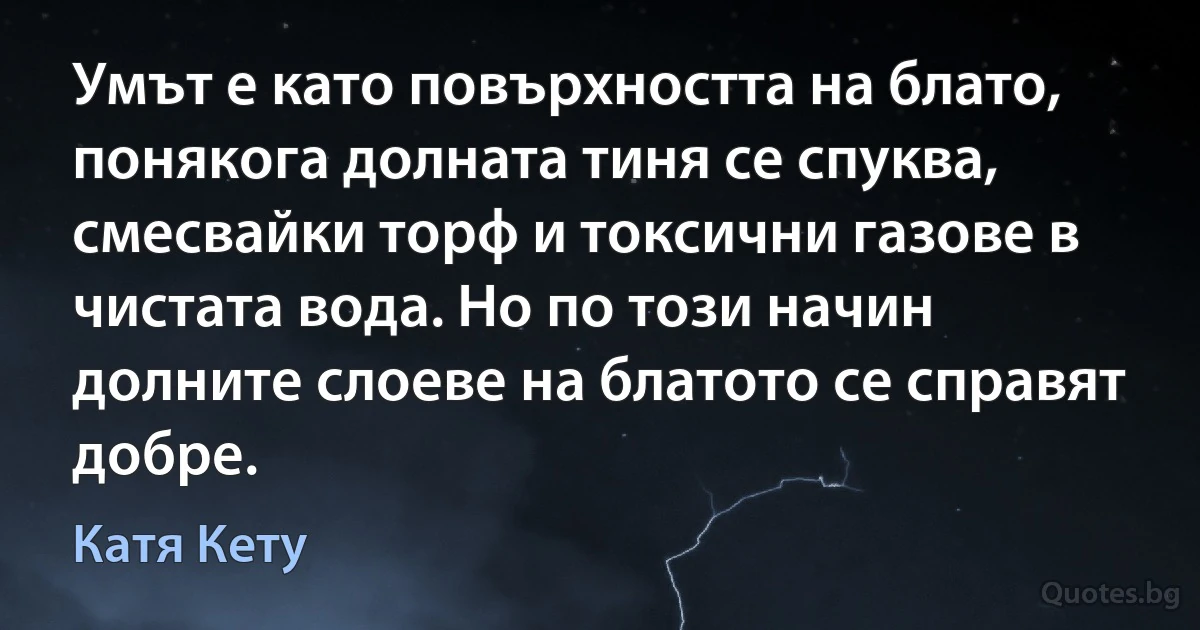 Умът е като повърхността на блато, понякога долната тиня се спуква, смесвайки торф и токсични газове в чистата вода. Но по този начин долните слоеве на блатото се справят добре. (Катя Кету)