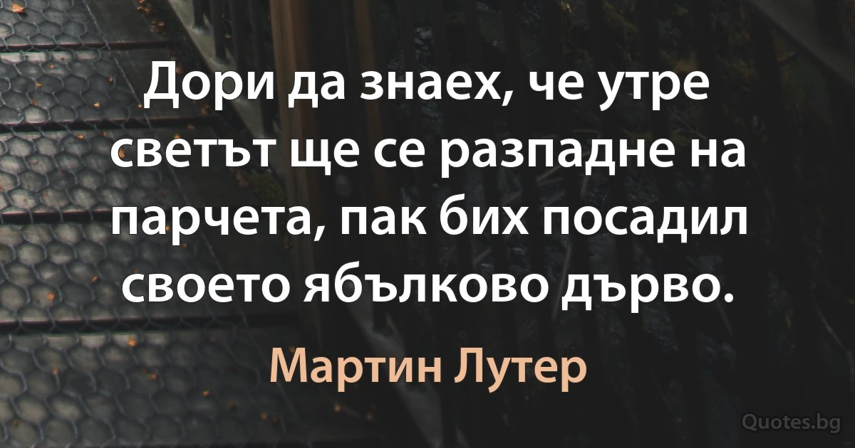 Дори да знаех, че утре светът ще се разпадне на парчета, пак бих посадил своето ябълково дърво. (Мартин Лутер)