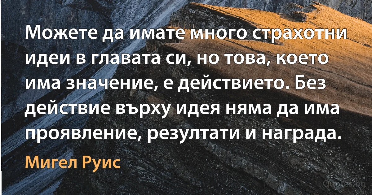 Можете да имате много страхотни идеи в главата си, но това, което има значение, е действието. Без действие върху идея няма да има проявление, резултати и награда. (Мигел Руис)