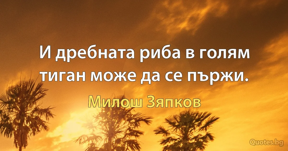 И дребната риба в голям тиган може да се пържи. (Милош Зяпков)