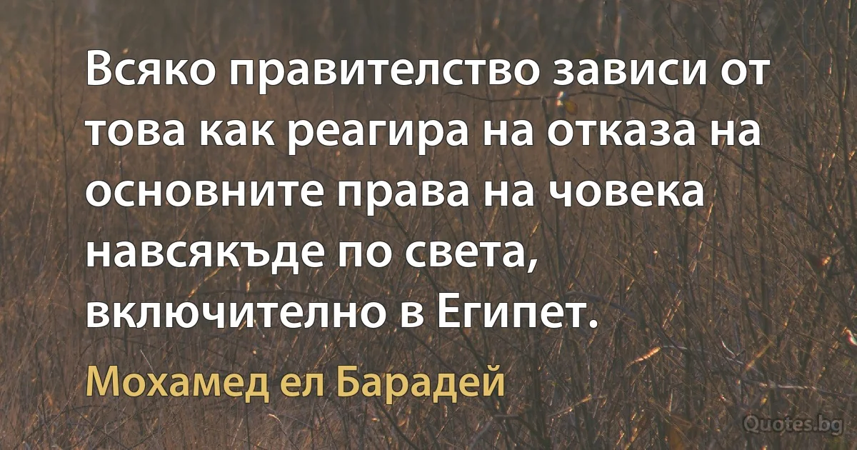 Всяко правителство зависи от това как реагира на отказа на основните права на човека навсякъде по света, включително в Египет. (Мохамед ел Барадей)