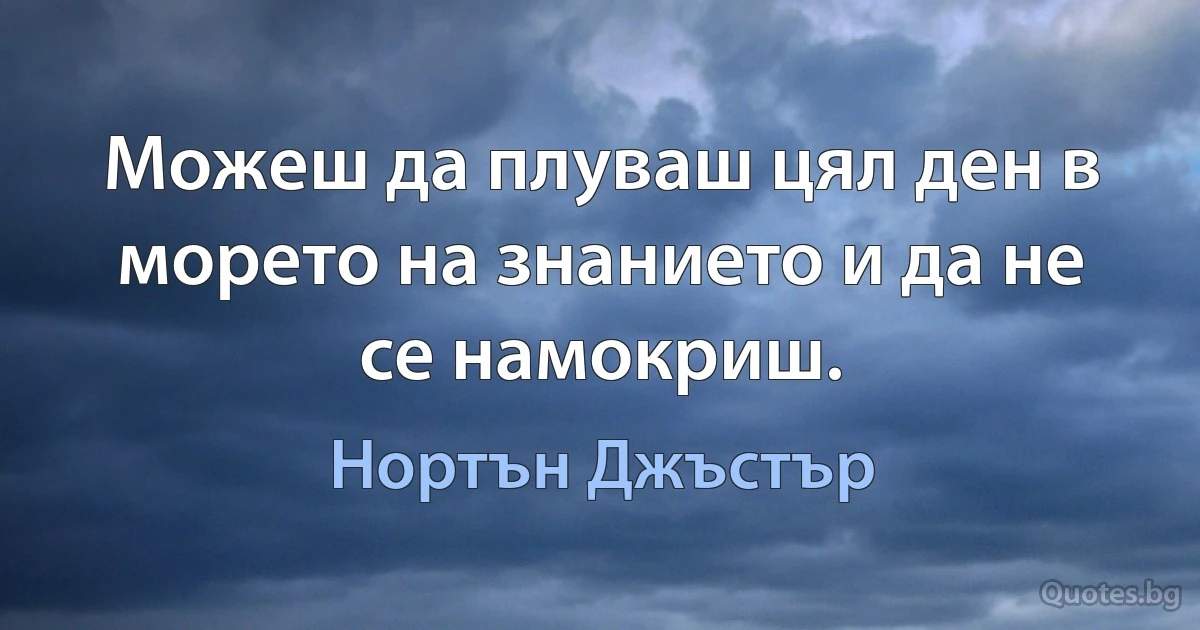 Можеш да плуваш цял ден в морето на знанието и да не се намокриш. (Нортън Джъстър)