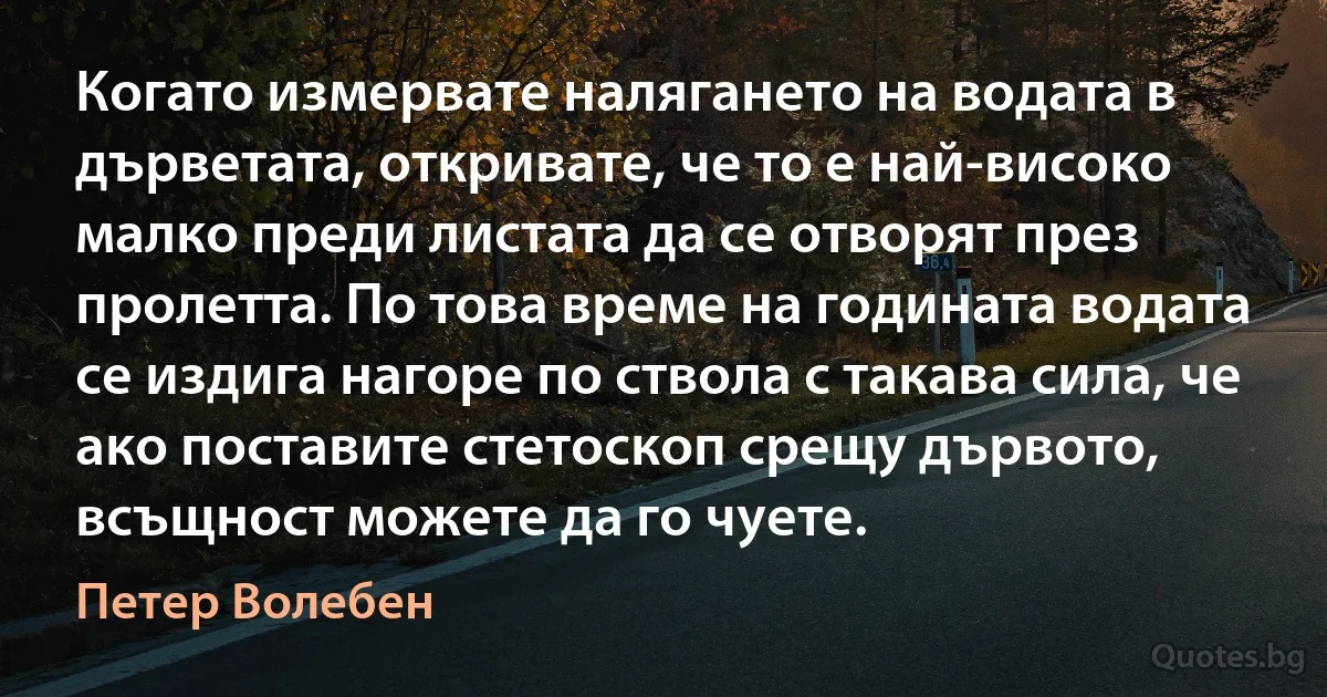 Когато измервате налягането на водата в дърветата, откривате, че то е най-високо малко преди листата да се отворят през пролетта. По това време на годината водата се издига нагоре по ствола с такава сила, че ако поставите стетоскоп срещу дървото, всъщност можете да го чуете. (Петер Волебен)