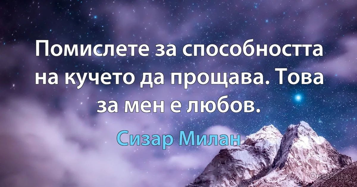 Помислете за способността на кучето да прощава. Това за мен е любов. (Сизар Милан)