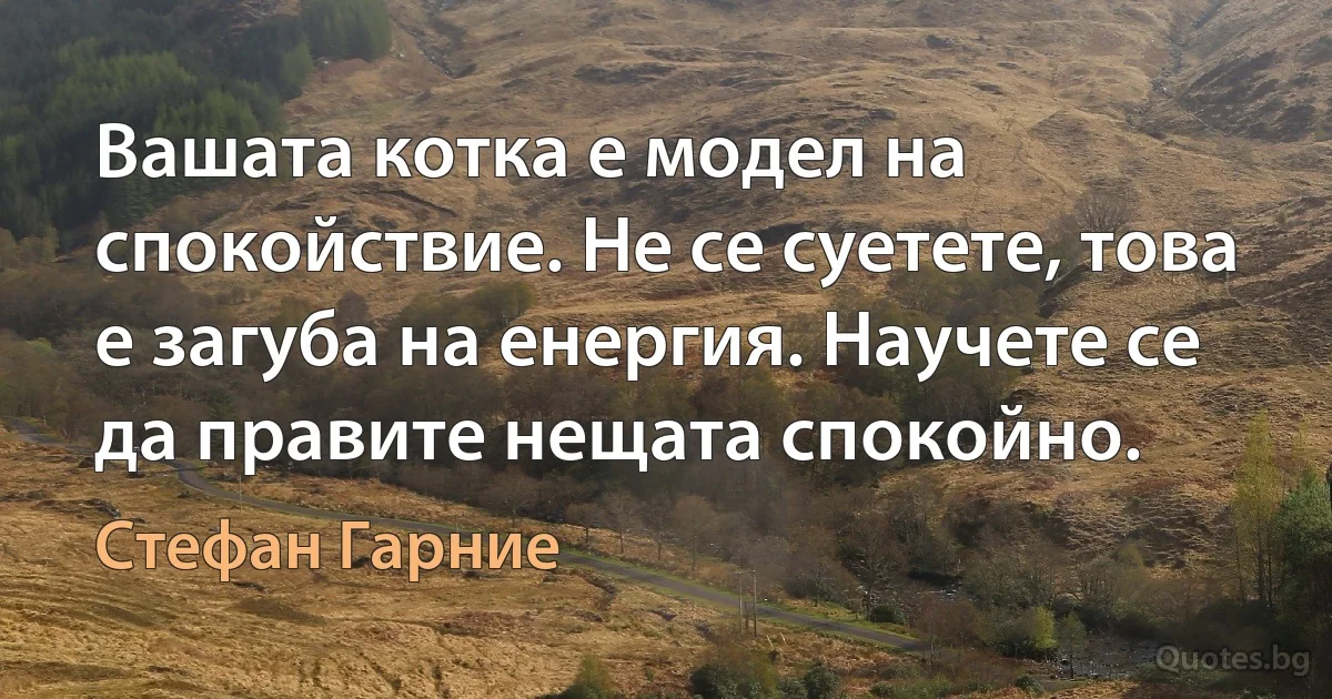 Вашата котка е модел на спокойствие. Не се суетете, това е загуба на енергия. Научете се да правите нещата спокойно. (Стефан Гарние)