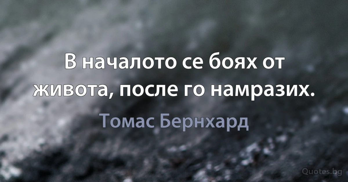 В началото се боях от живота, после го намразих. (Томас Бернхард)