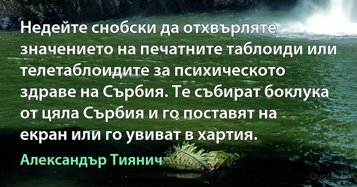 Недейте снобски да отхвърляте значението на печатните таблоиди или телетаблоидите за психическото здраве на Сърбия. Те събират боклука от цяла Сърбия и го поставят на екран или го увиват в хартия. (Александър Тиянич)