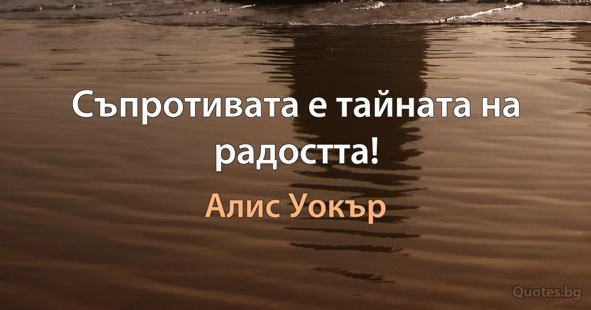 Съпротивата е тайната на радостта! (Алис Уокър)