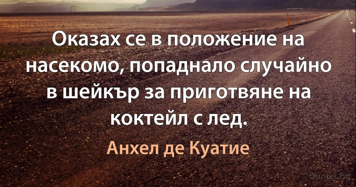 Оказах се в положение на насекомо, попаднало случайно в шейкър за приготвяне на коктейл с лед. (Анхел де Куатие)