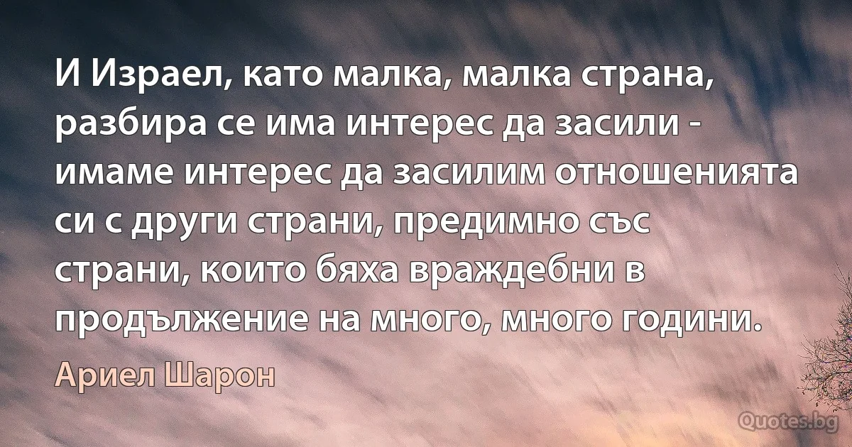 И Израел, като малка, малка страна, разбира се има интерес да засили - имаме интерес да засилим отношенията си с други страни, предимно със страни, които бяха враждебни в продължение на много, много години. (Ариел Шарон)