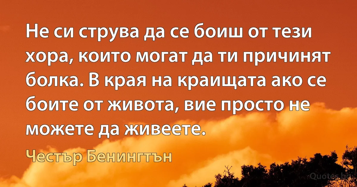 Не си струва да се боиш от тези хора, които могат да ти причинят болка. В края на краищата ако се боите от живота, вие просто не можете да живеете. (Честър Бенингтън)