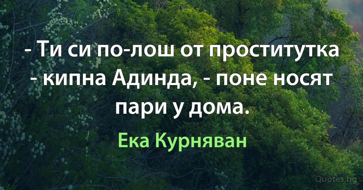 - Ти си по-лош от проститутка - кипна Адинда, - поне носят пари у дома. (Ека Курняван)