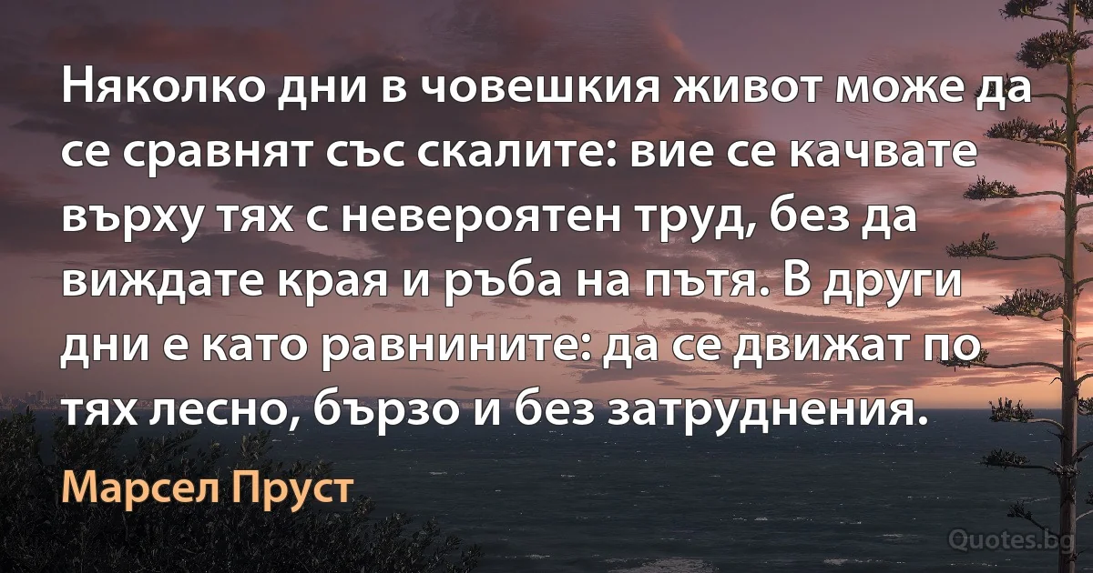 Няколко дни в човешкия живот може да се сравнят със скалите: вие се качвате върху тях с невероятен труд, без да виждате края и ръба на пътя. В други дни е като равнините: да се движат по тях лесно, бързо и без затруднения. (Марсел Пруст)