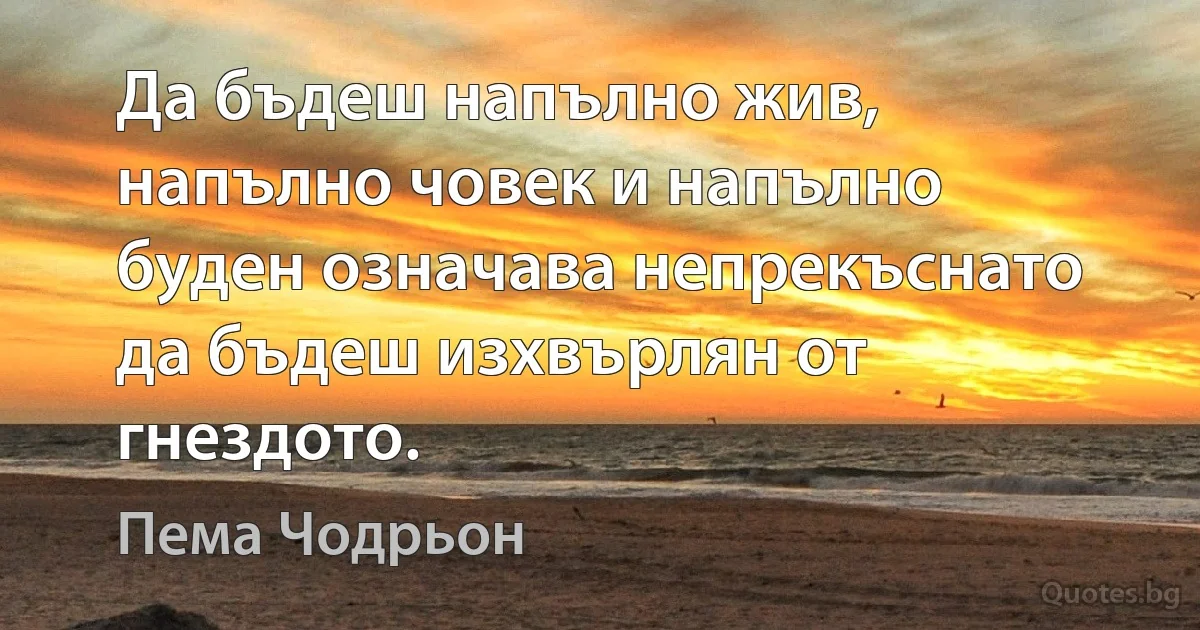 Да бъдеш напълно жив, напълно човек и напълно буден означава непрекъснато да бъдеш изхвърлян от гнездото. (Пема Чодрьон)